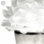 Alternative view of GLYCINE T2 WM - table lamp
