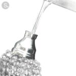 Alternative view of BIELA T1 WB - applique