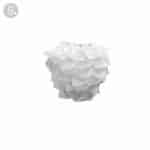 CIRSIUM T1 WM - wall-light